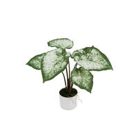 KUNSTPFLANZE Künstliche Caladium - Dalia 45 cm - Grün, Kunststoff (43cm) - aplanta