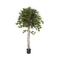 KUNSTBAUM Künstlicher Ficus - Kathleen 180 cm - Grün, Kunststoff (180cm) - aplanta