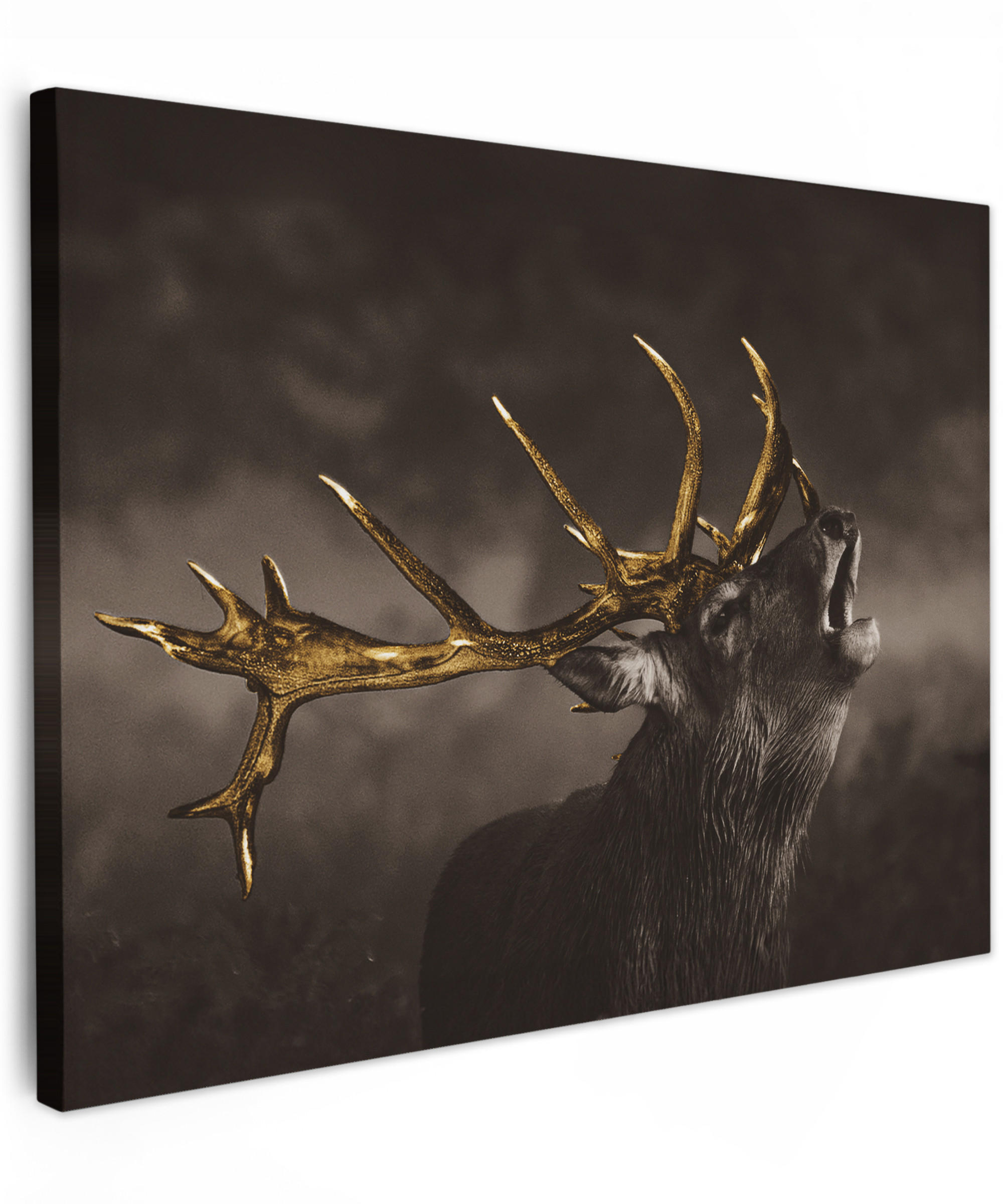LEINWANDBILD Rotwild - Schwarz - Gold 40x30 cm - Braun, Textil (40/30cm) - MuchoWow