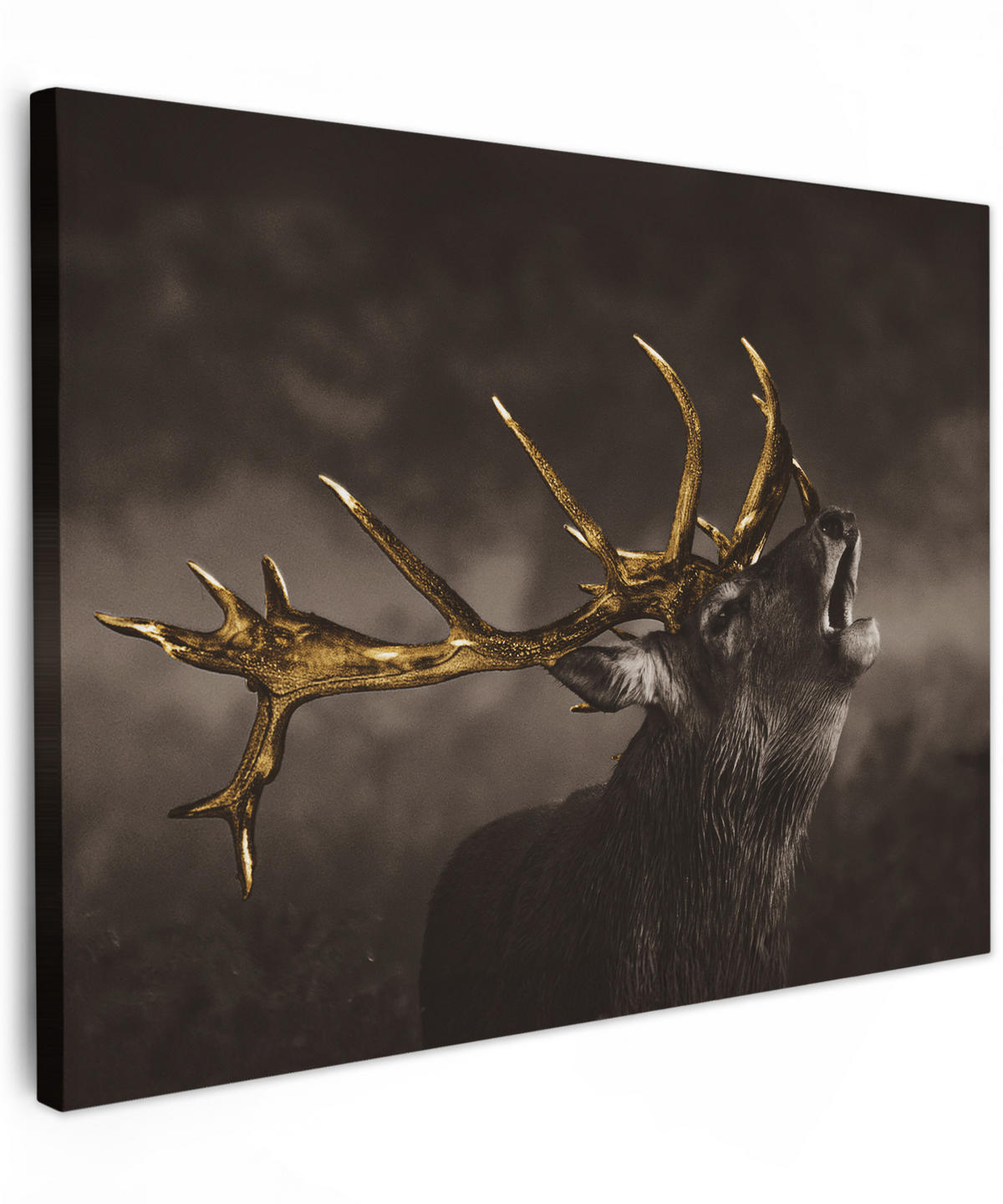 LEINWANDBILD Rotwild - Schwarz - Gold Wandbilder 80x60 cm - Braun, Textil (80/60cm) - MuchoWow