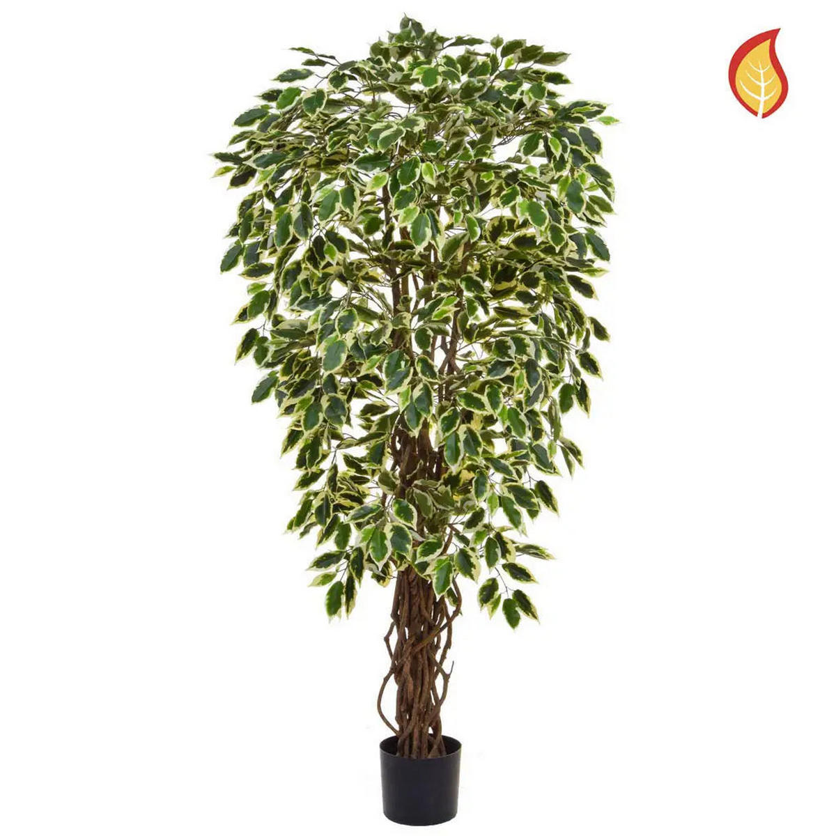 KUNSTPFLANZE Künstlicher Ficus - Silke 150 cm - Grün, Kunststoff (150cm) - aplanta