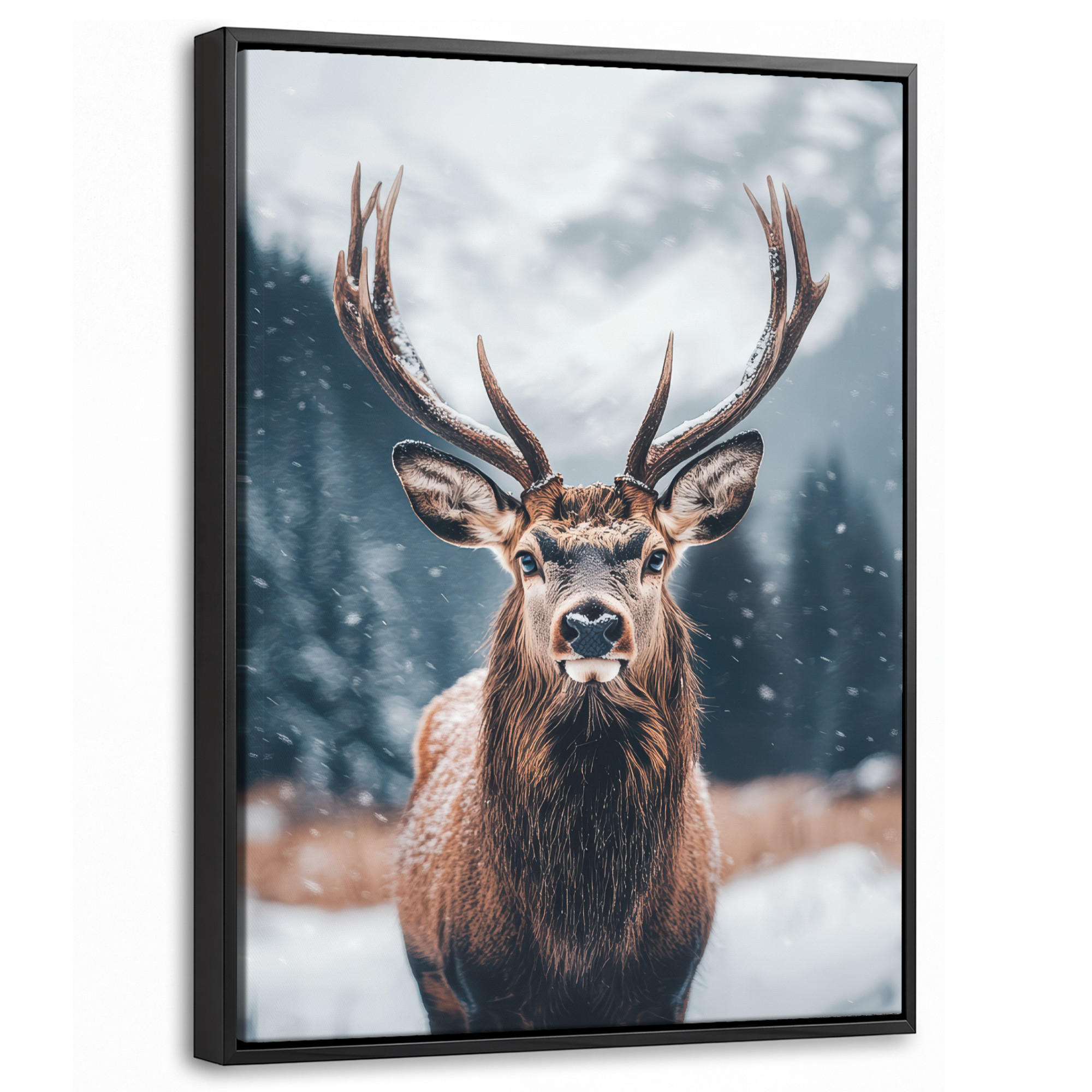 MuchoWow Leinwand Kastanien 30x40 cm