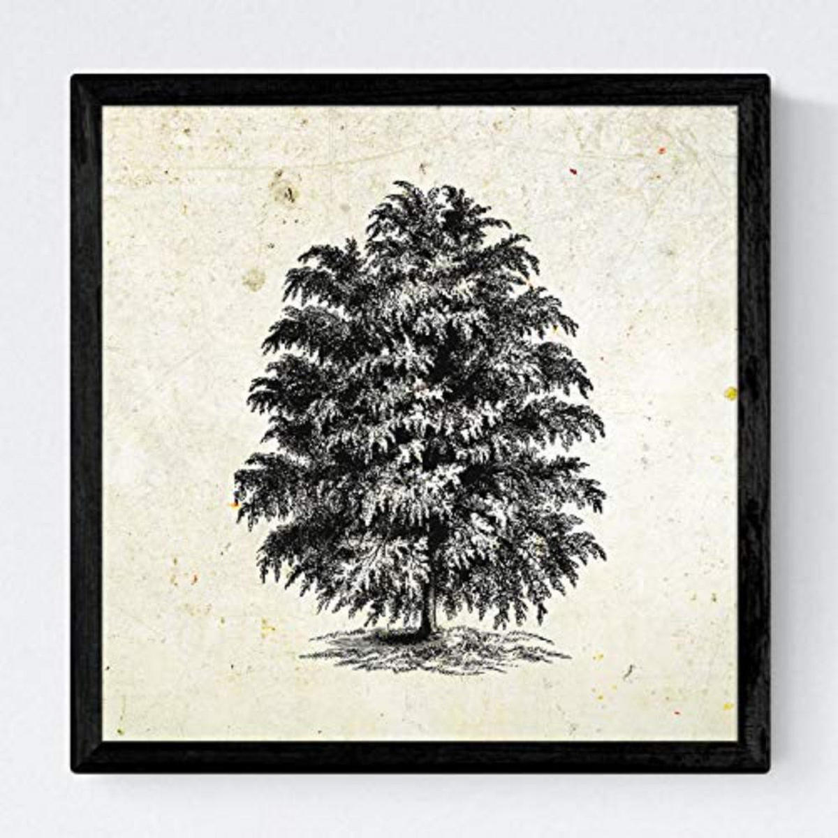 POSTER Set mit 4 Blättern der Bäume struktur 20x20cm Schwarzer Rahmen - Schwarz, Papier (20/3cm) - Nacnic