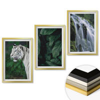 WANDBILDER 3er Set - 40x60 cm Goldrahmen - Wasserfall aus weißen Tigerblättern - Goldfarben, Kunststoff (40/60cm) - ArtPrintCave