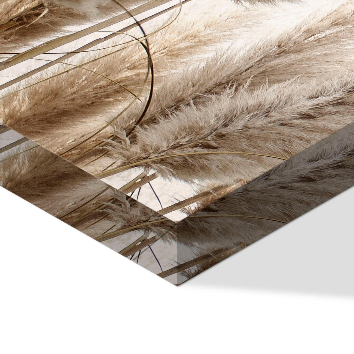 LEINWANDBILD Pampasgras 120x80 cm - Multicolor, Holz (120/80cm) - LUMASOUL