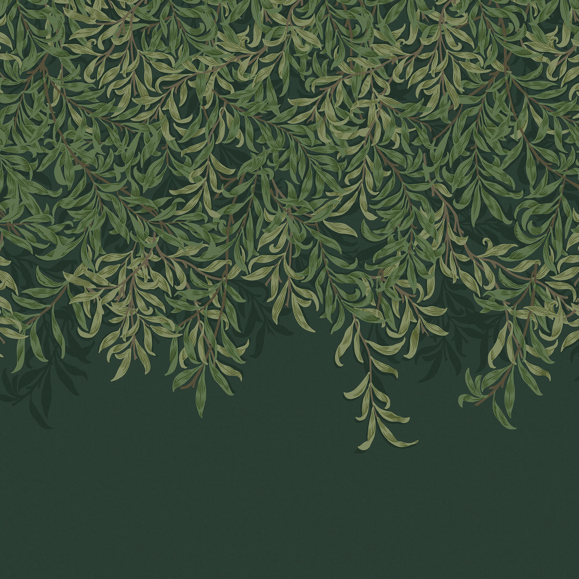 FOTOTAPETE - Willow Bough Deep Green - Grün, Papier/Kunststoff (400/400cm) - Graham & Brown