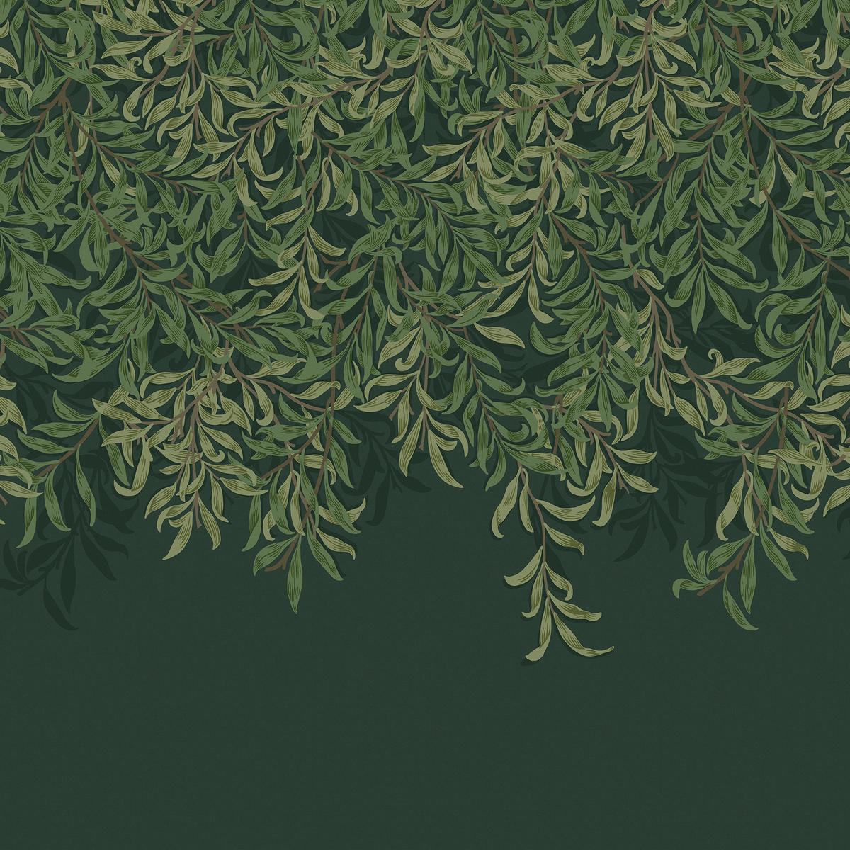 FOTOTAPETE - Willow Bough Deep Green - Grün, Papier/Kunststoff (250/400cm) - Graham & Brown