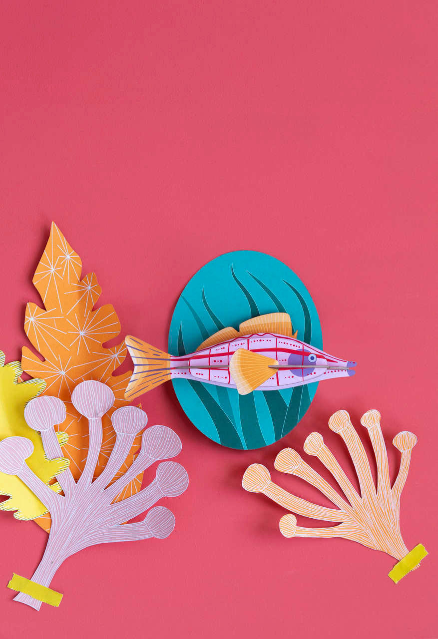 WANDDEKO Langnasen-Falkenfisch 20/4 cm - Multicolor, Wellpappe (20/4/17cm) - KUNSTLOFT