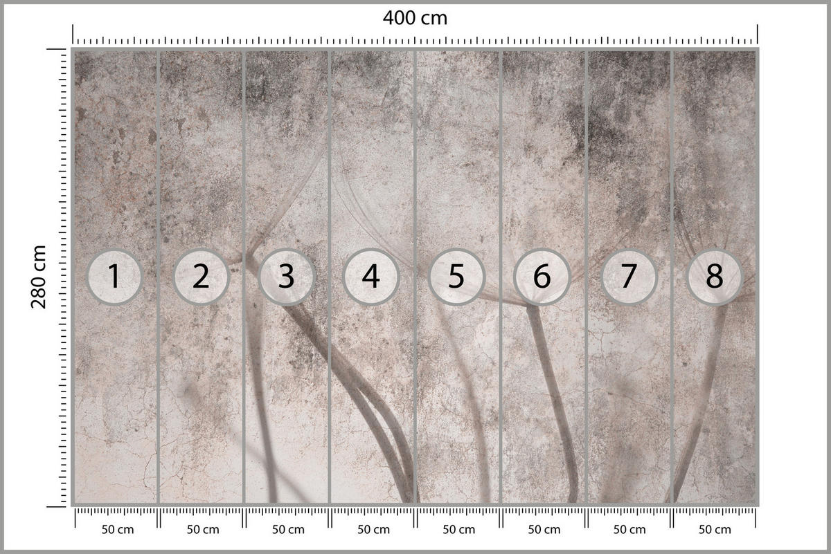 FOTOTAPETA Pre Spálňu Retro Púpava Betón Béžová Minimalistická 400 x 280 cm - hnedá/sivá, papier (400/280cm) - Muralo