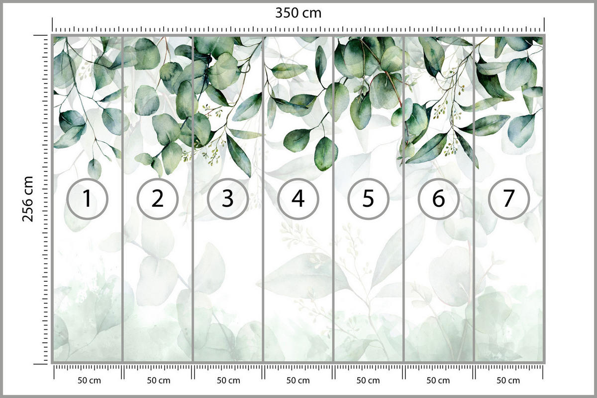 FOTOTAPETE Eukalyptus Blätter Pflanzen Natur 350x256 - Weiß/Grün, Papier (350/256cm) - Muralo