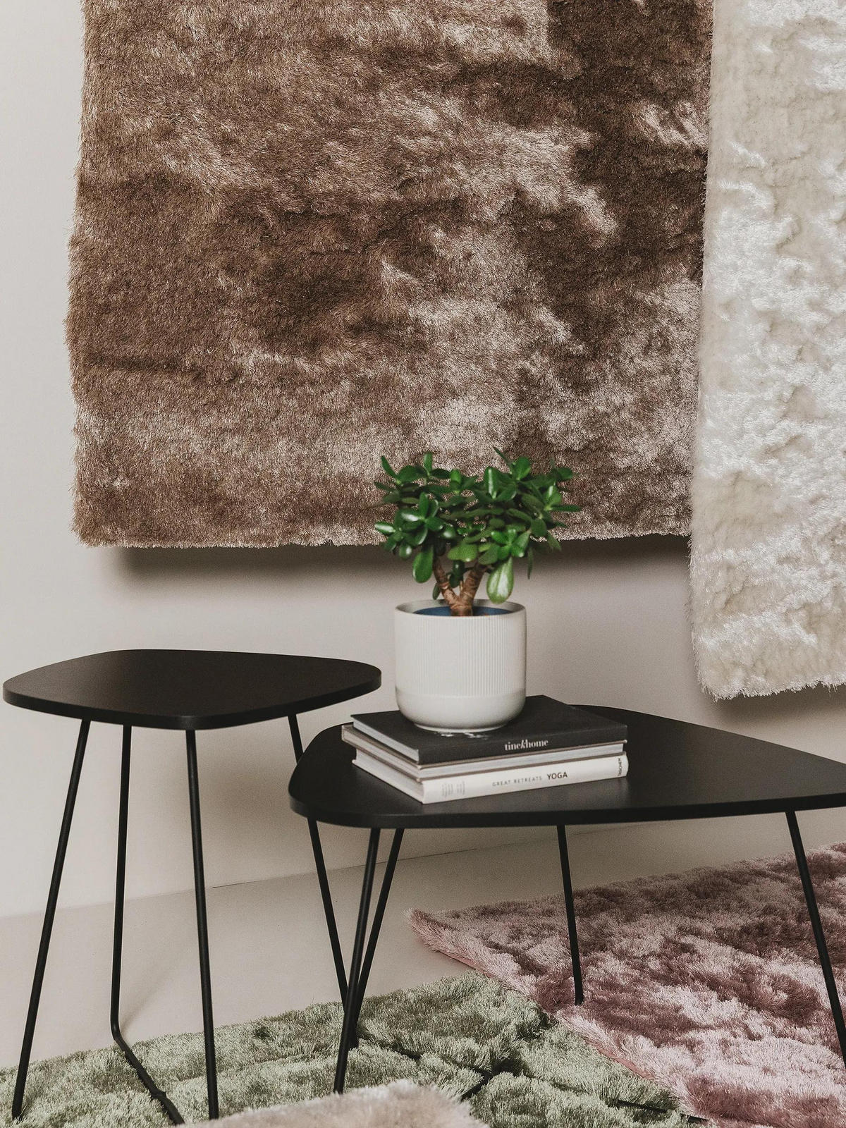 SHAGGY koberec Whisper Světle hnědá 120x170 cm - světle hnědá, textil/umělá hmota (120/170cm) - benuta Nest