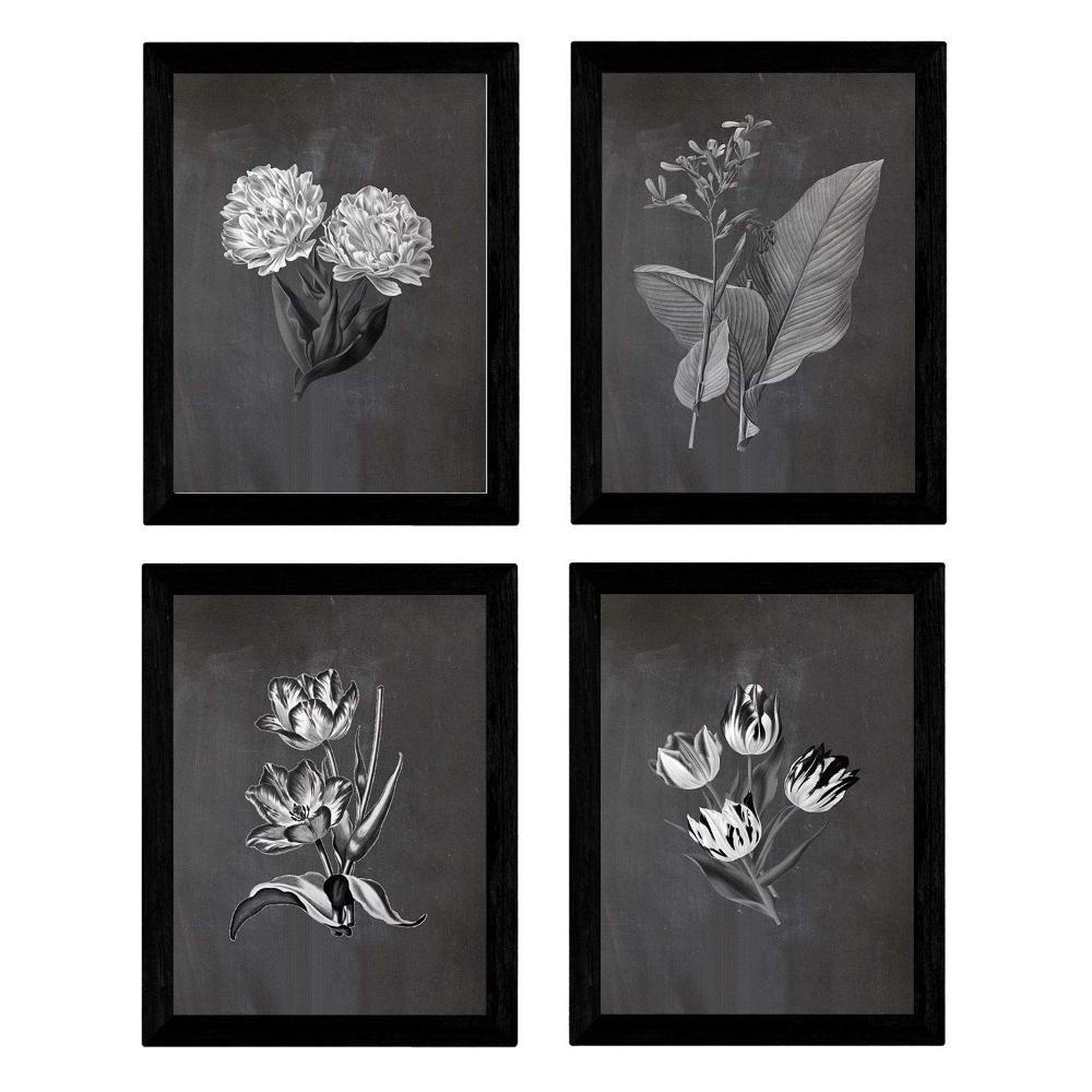 POSTER Set mit 4 botanischen Schwarz Tulpen Regenbogen A3 Rahmenlos - Klar, Papier (29.7/3cm) - Nacnic