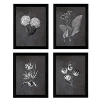 POSTER Set mit 4 botanischen Schwarz Tulpen Regenbogen A3 Rahmenlos - Klar, Papier (29.7/3cm) - Nacnic