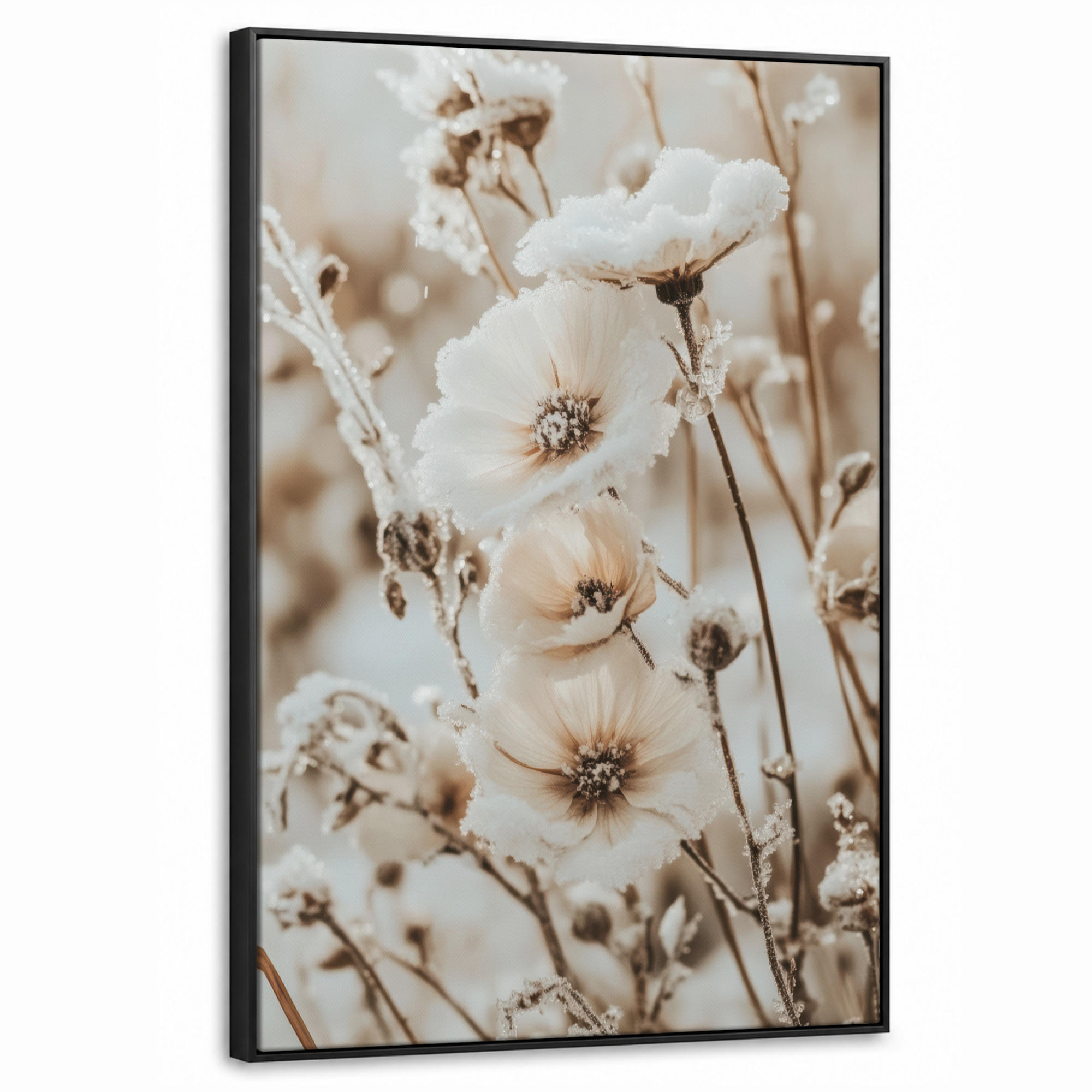 MuchoWow Leinwand Creme 60x90 cm
