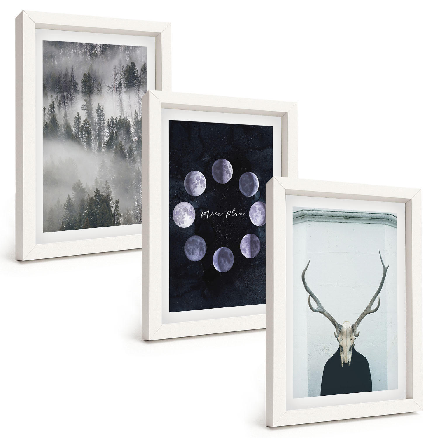 BILDER SET 3er Set - 20x30 cm Weißer Rahmen - Waldlandschaft, Nebel, Mond, Hirschschädel - Weiß, Kunststoff (20/30cm) - TULUP