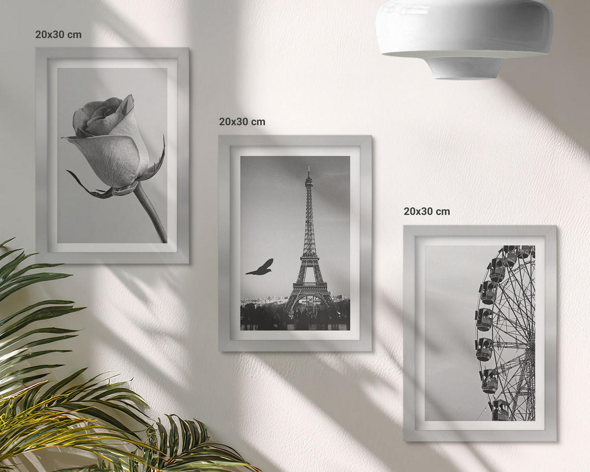 WANDBILDER 3er Set - 20x30 cm Silberner Rahmen - Rose Eiffelturm Riesenrad - Silberfarben, Kunststoff (20/30cm) - ArtPrintCave