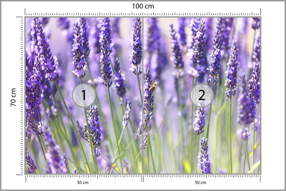 FOTOTAPETE für Küche Lavendelwiese Blumen Kräuter 100x70 - Violett/Grün, Papier (100/70cm) - Muralo