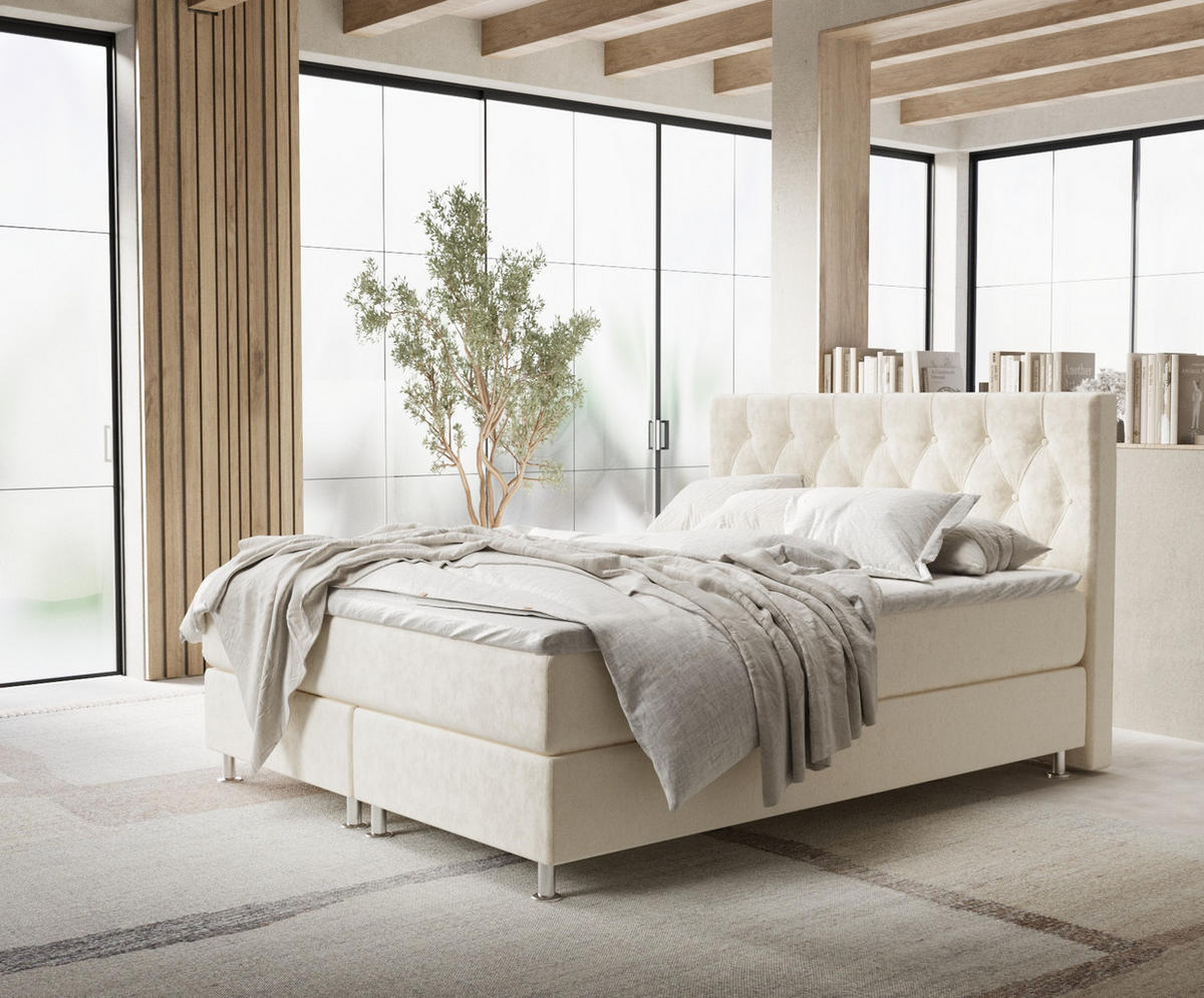 BOXSPRINGBETT Excelsior Creme 160/200 cm mit Latex-Topper - Silberfarben/Creme, Holz/Holzwerkstoff (160/200cm) - Maison de Reve