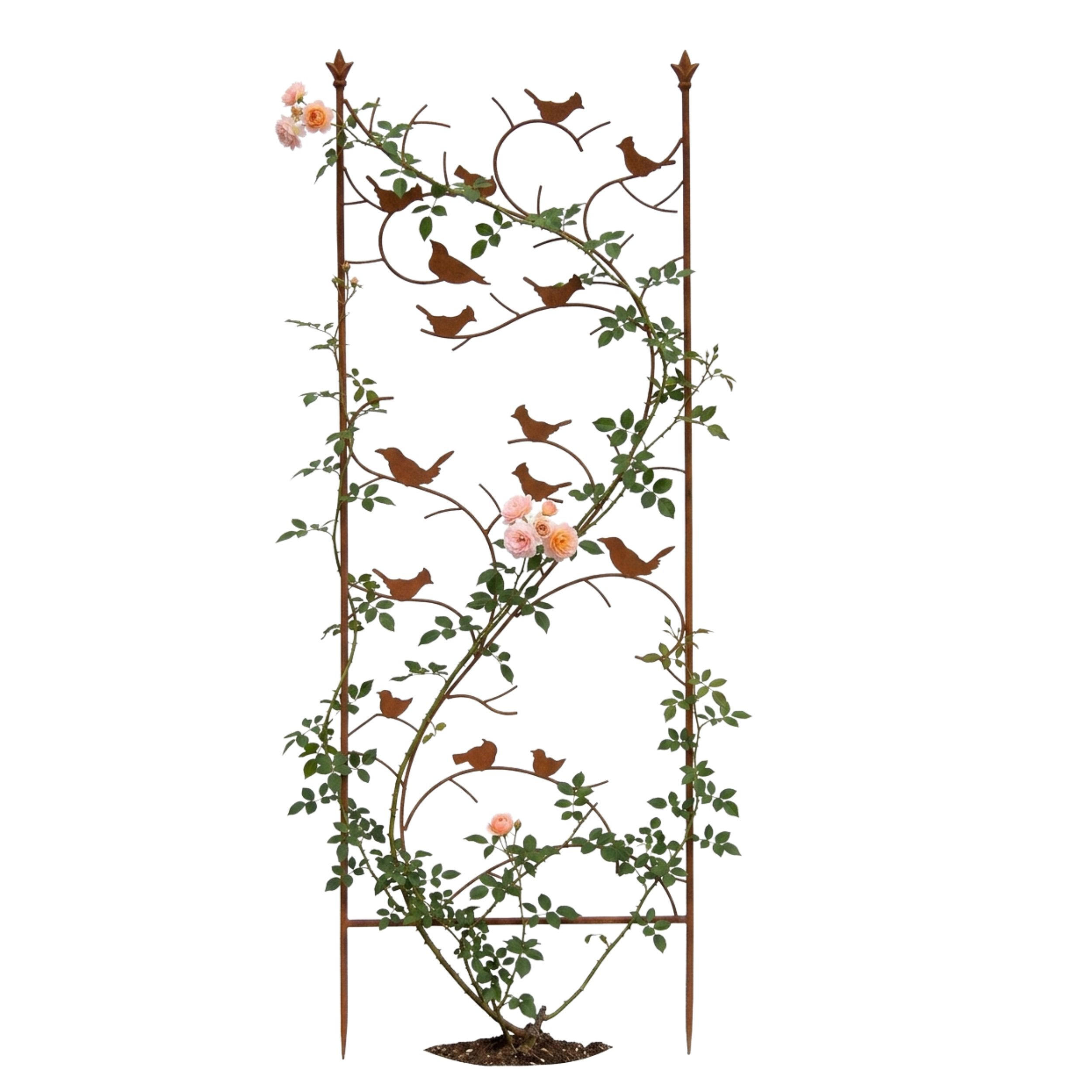 RANKGITTER mit Vögel Metall Rostbraun 150 cm - Braun, Metall (50/150/1cm) - DanDiBo