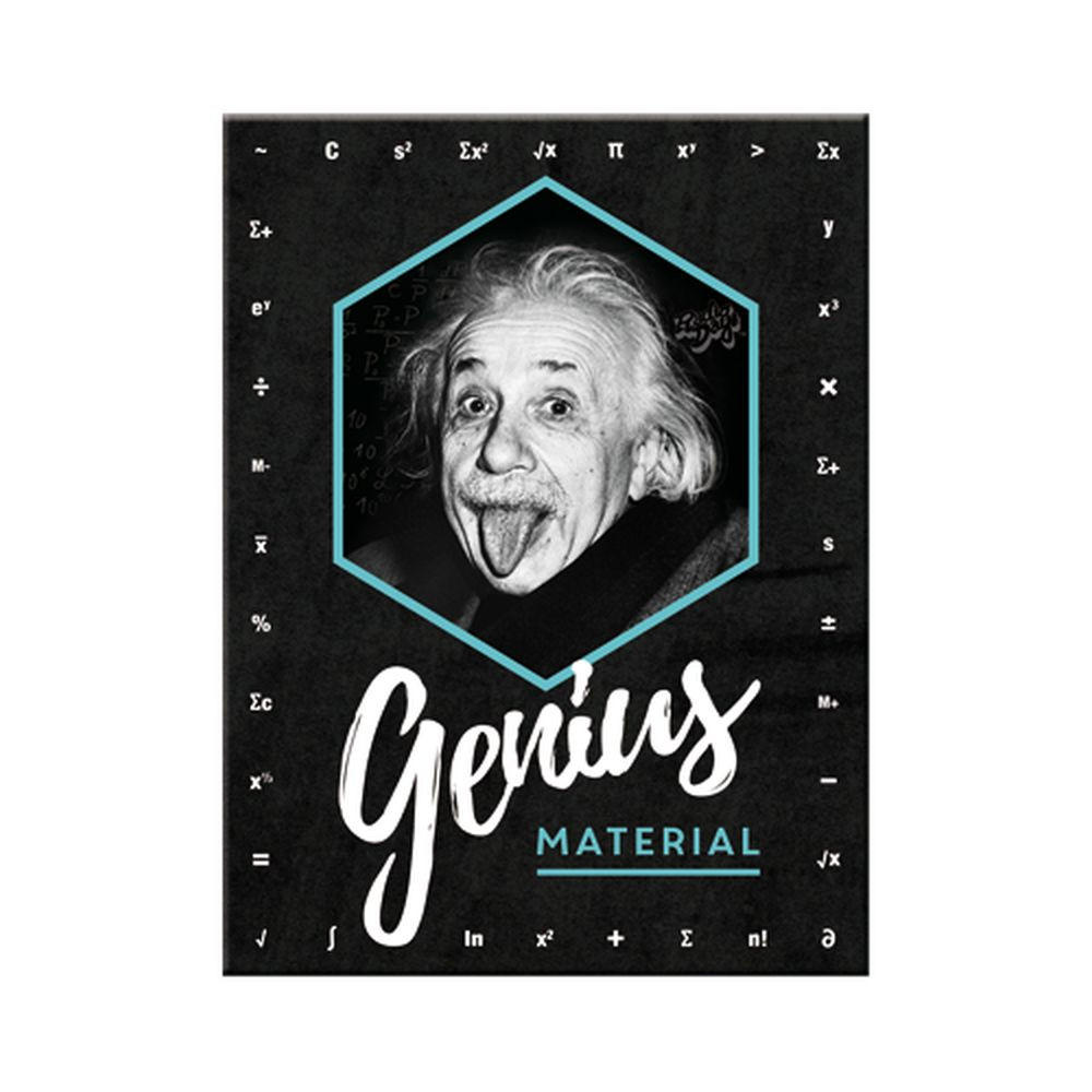 MAGNET 6/8 cm Celebrities Einstein Genius Material - Multicolor, Metall (6/8/0.1cm) - Nostalgic-Art