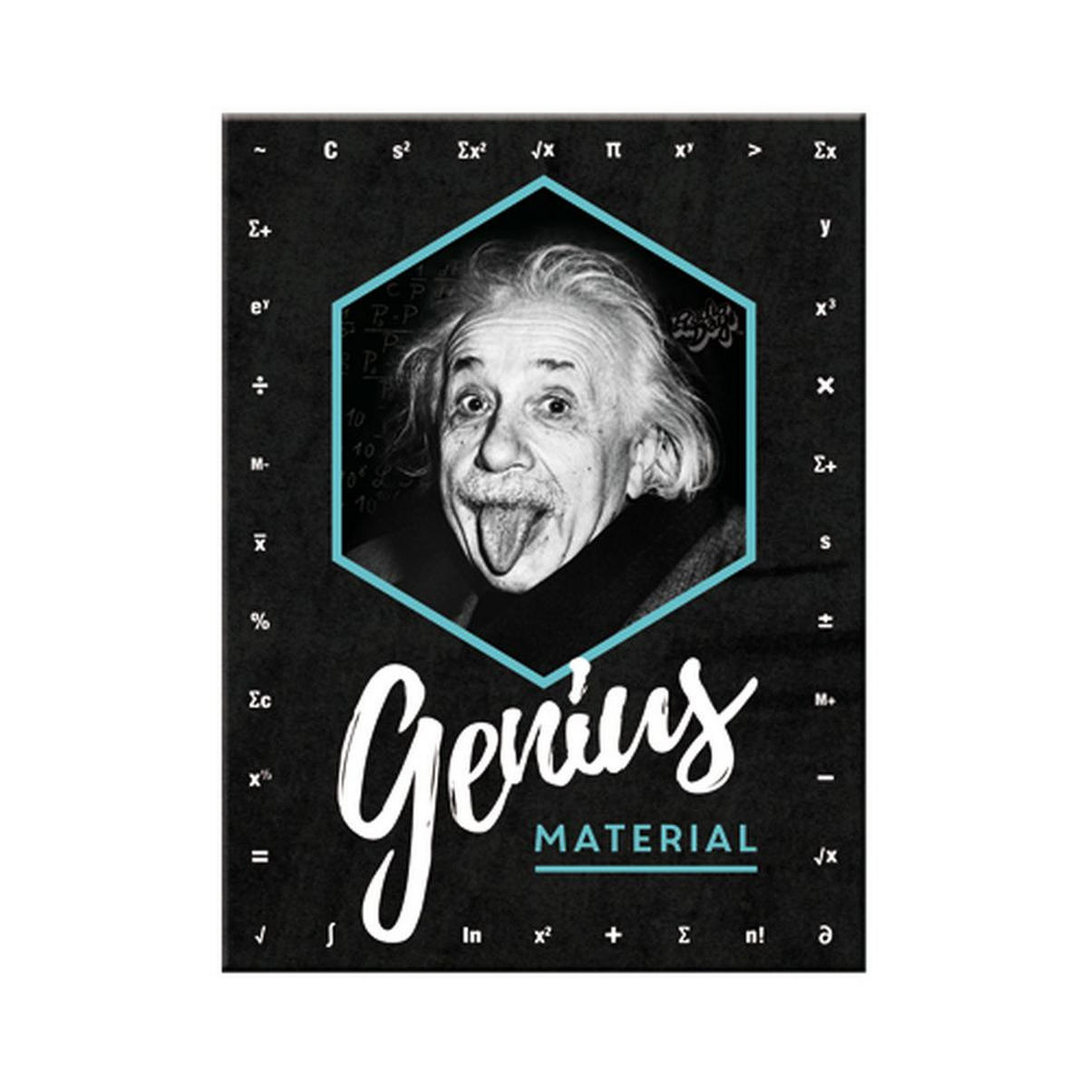 MAGNET 6/8 cm Celebrities Einstein Genius Material - Multicolor, Metall (6/8/0.1cm) - Nostalgic-Art