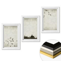 WANDBILDER 3er-Set - 20x30 cm Weißer Rahmen - Vögel im Flug, minimalistischer Stil - Weiß, Kunststoff (20/30cm) - ArtPrintCave