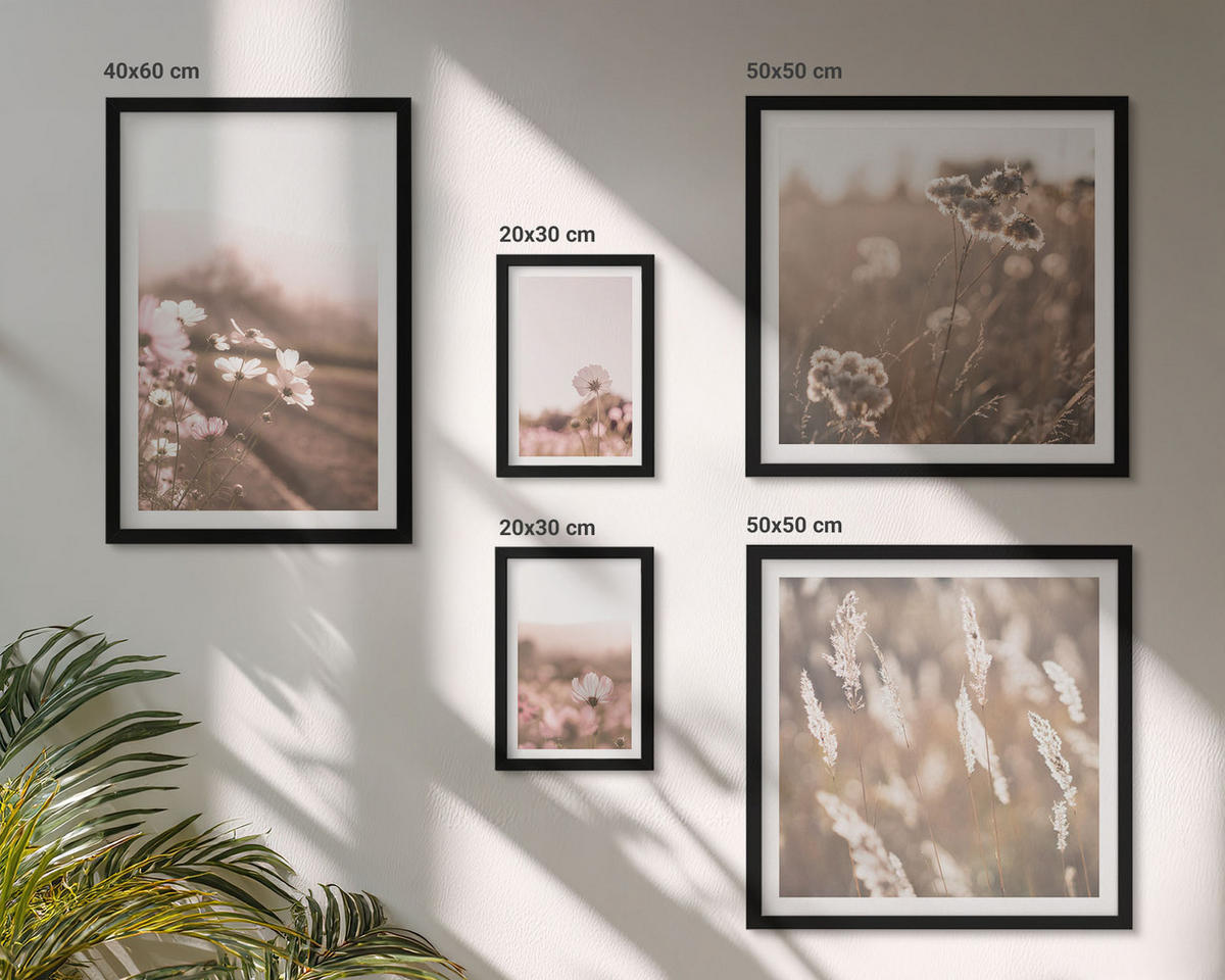 BILDER SET 5er Set - 50x50 cm & 20x30 cm & 40x60 cm Schwarzer Rahmen - Wildblumen auf den Wiesen im Sommer - Schwarz, Kunststoff (40/60cm) - TULUP