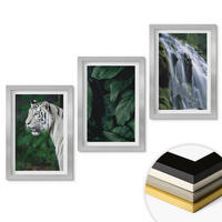 WANDBILDER 3er Set - 20x30 cm Silberner Rahmen - Wasserfall aus weißen Tigerblättern - Silberfarben, Kunststoff (20/30cm) - ArtPrintCave
