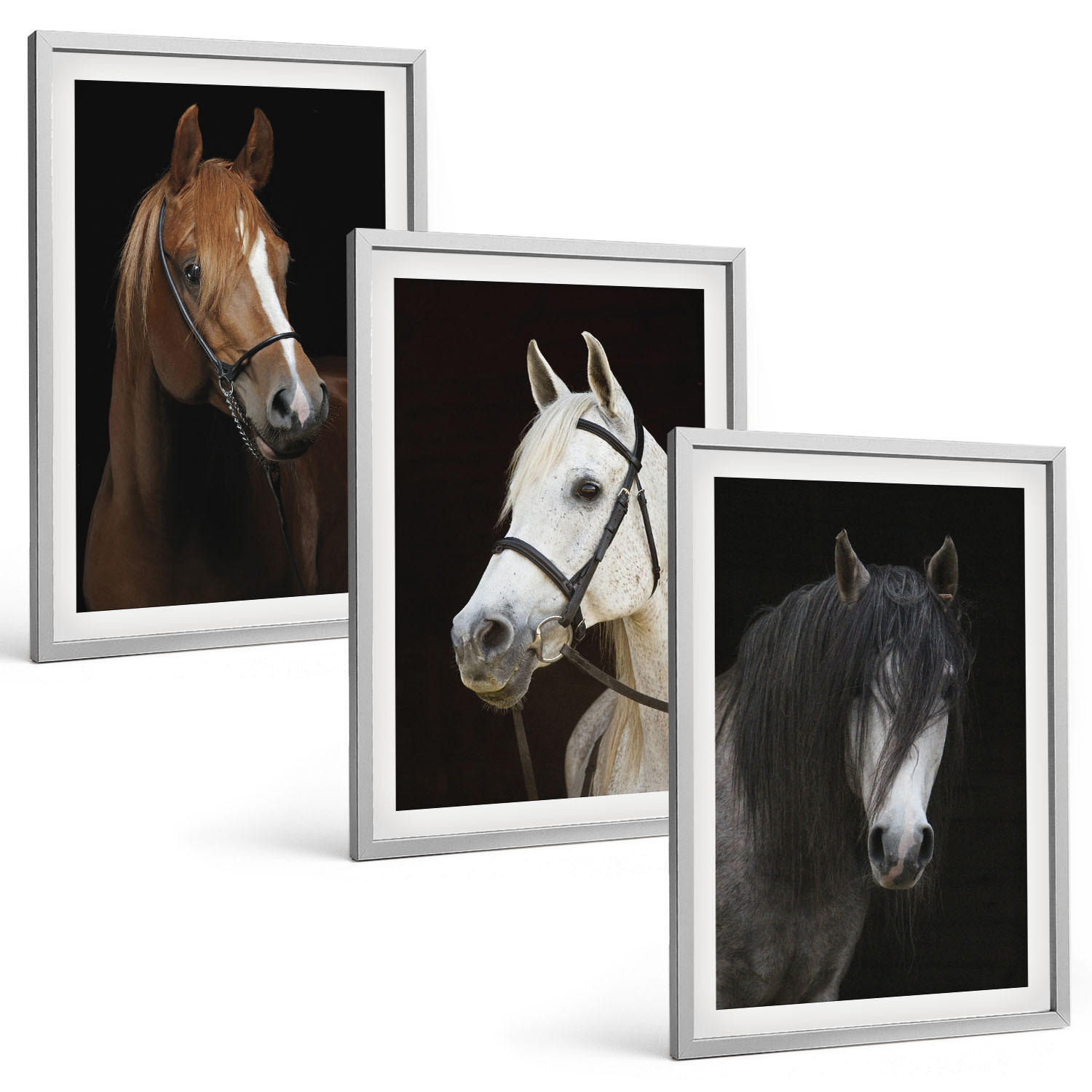 BILDER SET 3er Set - 40x60 cm Silberner Rahmen - Porträts von Pferden in verschiedenen Fellfarben - Silberfarben, Kunststoff (40/60cm) - TULUP