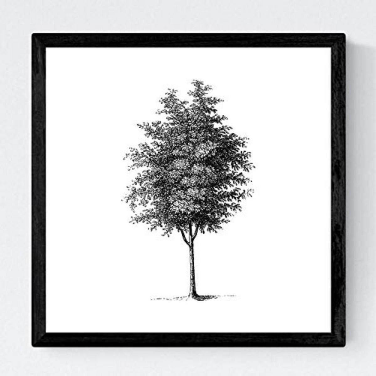POSTER Set mit 4 Blättern der Baumstamm fein Jahrgang Hintergrund 20x20cm Schwarzer Rahmen - Schwarz, Papier (20/3cm) - Nacnic