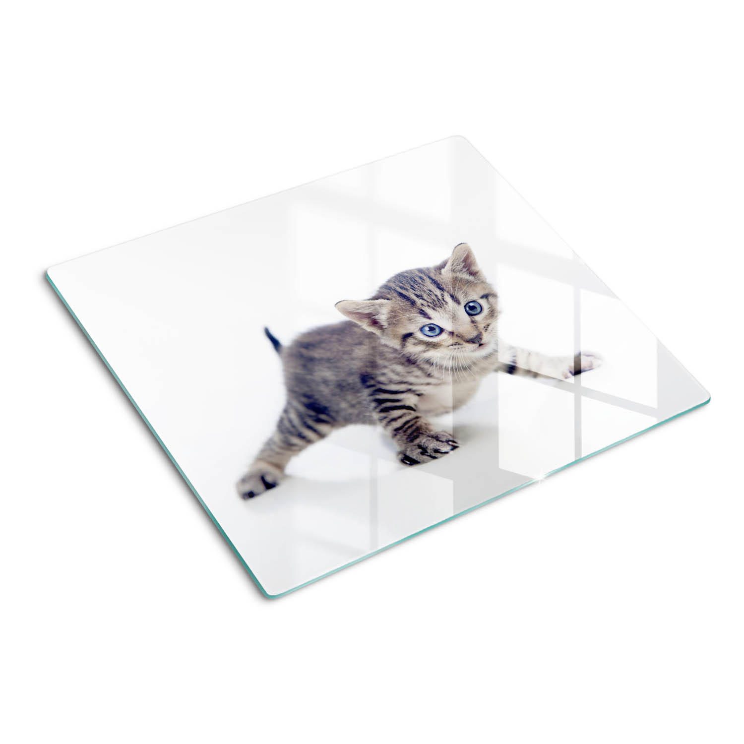 GLASPLATTE 60x52 cm Kleine Katze - Blaugrau, Glas (60/52cm) - TULUP
