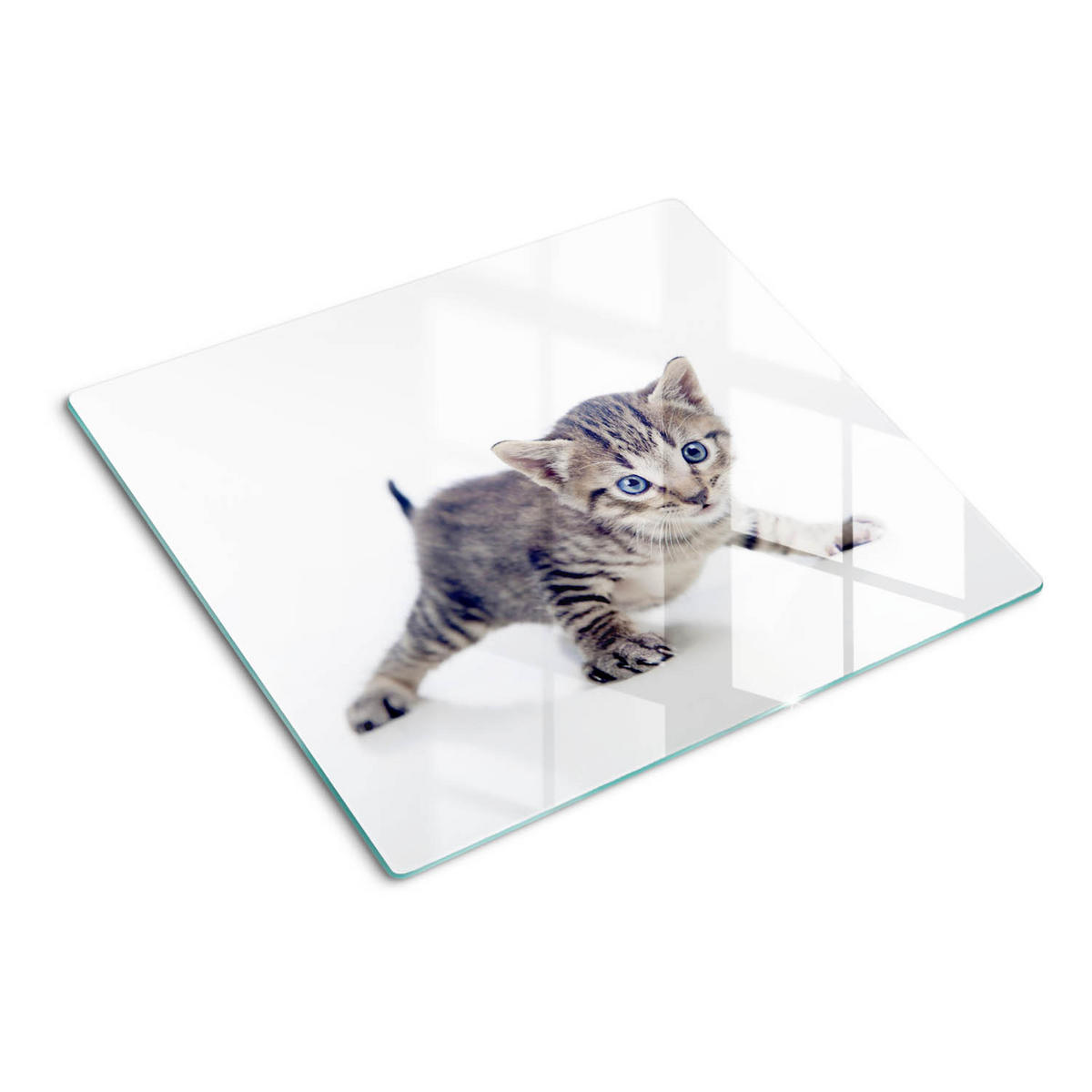 GLASPLATTE 60x52 cm Kleine Katze - Blaugrau, Glas (60/52cm) - TULUP