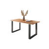 ESSTISCH POLLY - Beige/Schwarz, Holz/Metall (80/140/77cm) - SAM