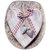 WC-SITZ mit Absenkautomatik Bavaria - Braun, Holzwerkstoff (38/6/47cm) - Sanilo