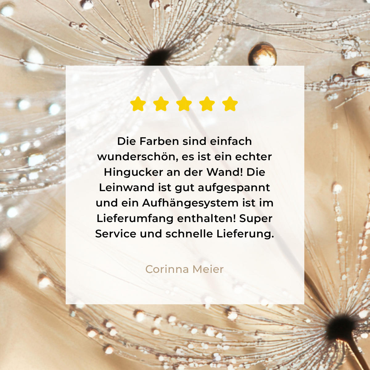 LEINWANDBILD Löwenzahn - Abstrakt - Natur - Beige 80x60 cm - Braun, Textil (80/60cm) - MuchoWow