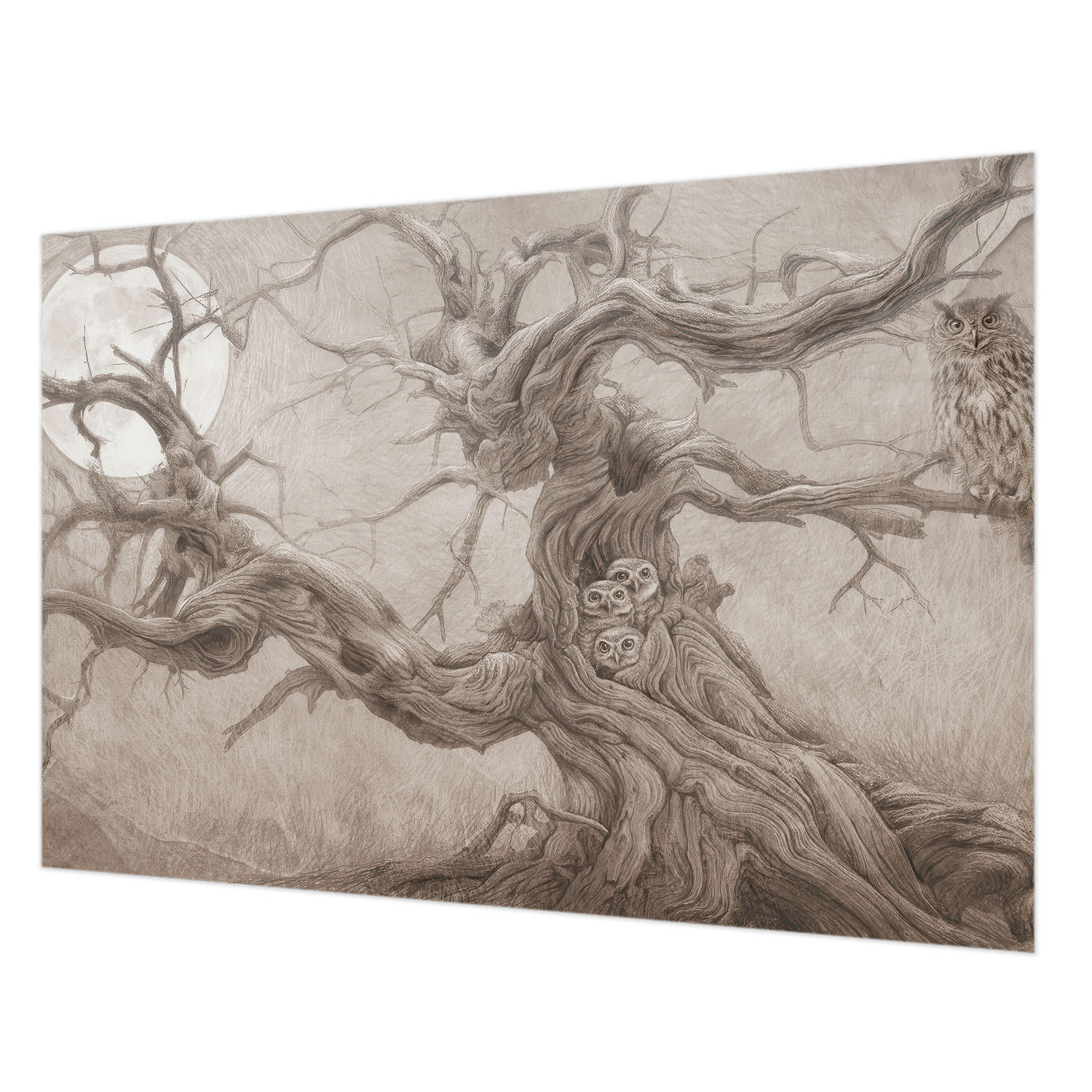 FOTOTAPETE 152x104 cm - Nachtvögel - Beige, Textil (152/104cm) - Wallfluent