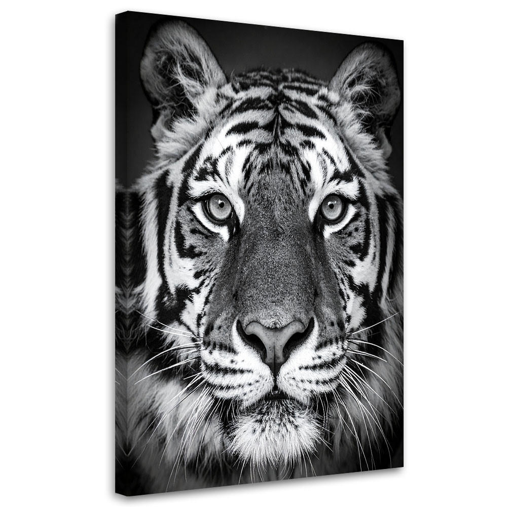 LEINWANDBILD, Afrikanischer Tiger Schwarz-Weiß - Schwarz, Textil (40/60cm) - Feeby