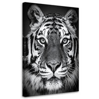 LEINWANDBILD, Afrikanischer Tiger Schwarz-Weiß - Schwarz, Textil (40/60cm) - Feeby