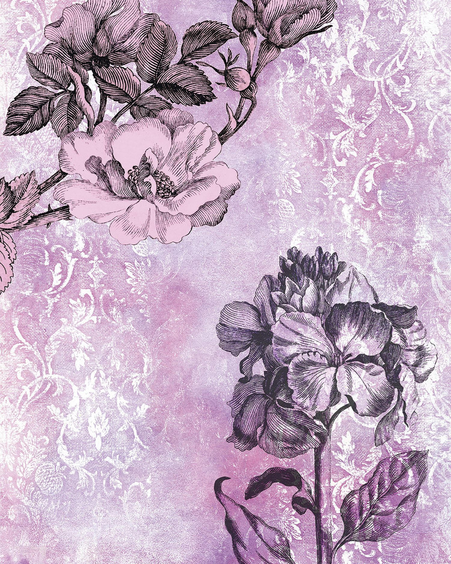 FOTOTAPETE Barock 200 x 250 cm - Pink, Papier (200/250cm) - Sanders & Sanders