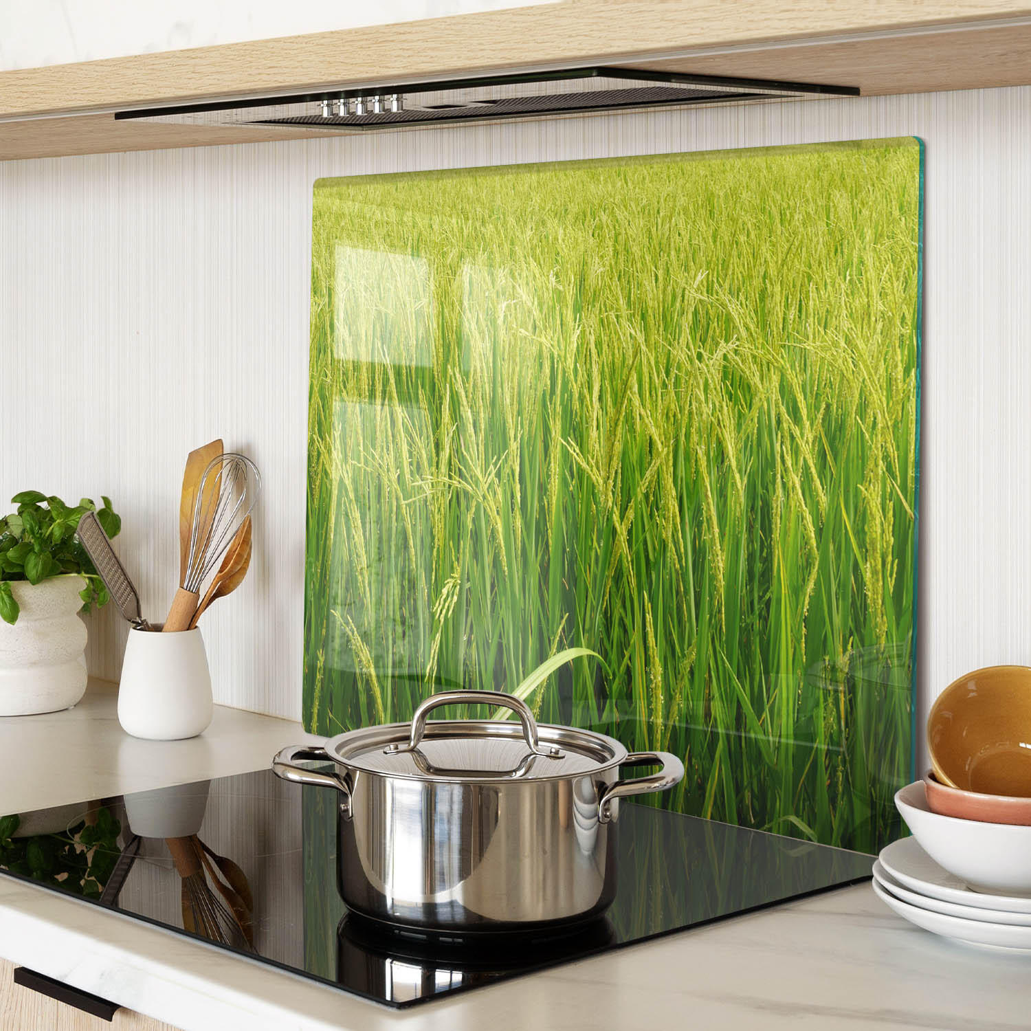 GLASPLATTE 60x52 cm Reisfeld - Grün, Glas (60/0.4/52cm) - TULUP