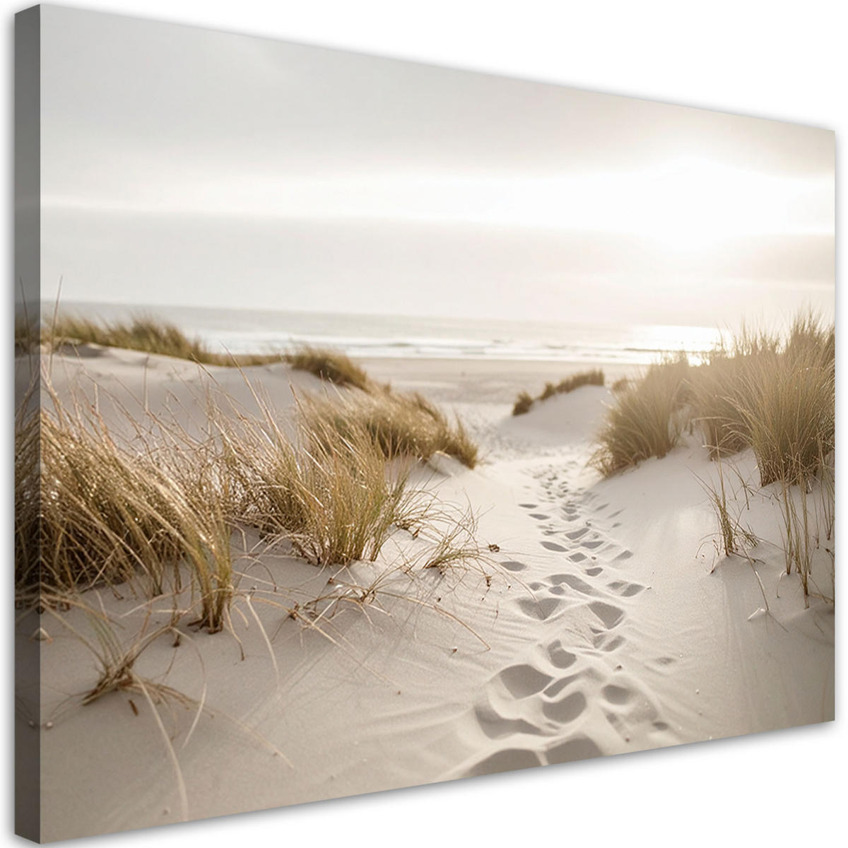 LEINWANDBILD Strand Meer Pflanzen Dünen Natur 60x40cm - Beige, Textil (60/40cm) - Feeby