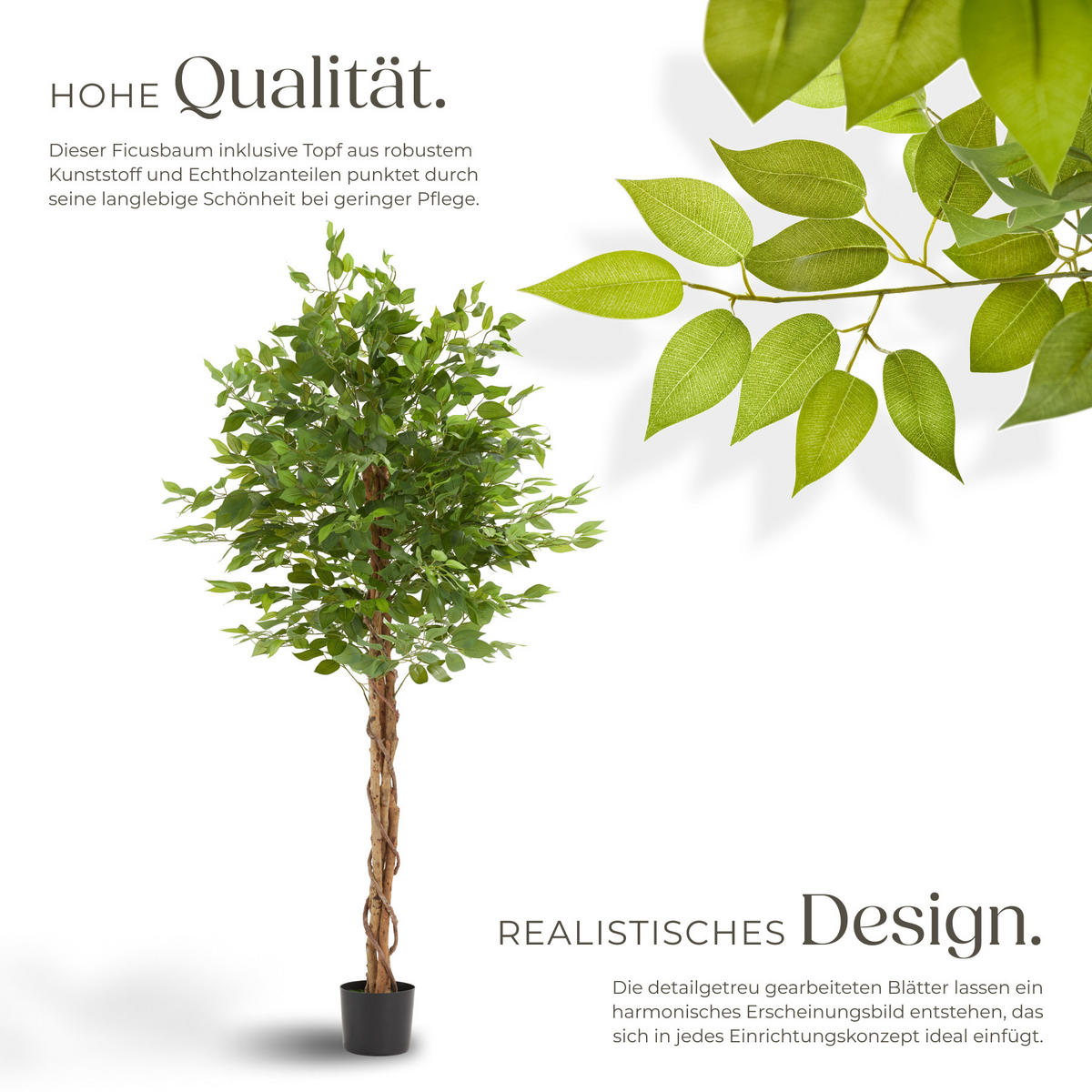 KÜNSTLICHER FICUSBAUM Fida, grün - Grün, Kunststoff (180cm) - tectake
