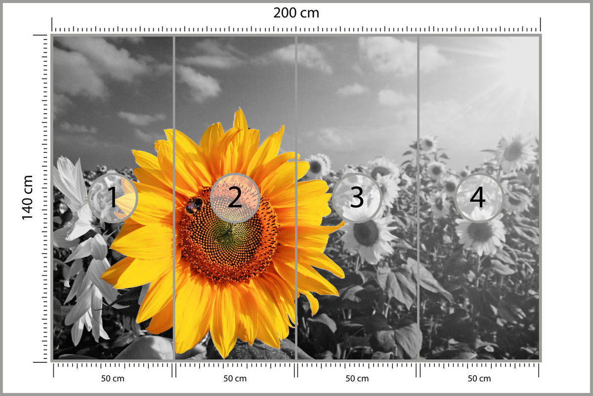FOTOTAPETE für Küche Gelber Sonnenblume Schwarz-Weiß Hintergrund 200x140 - Gelb/Orange, Papier (200/140cm) - Muralo