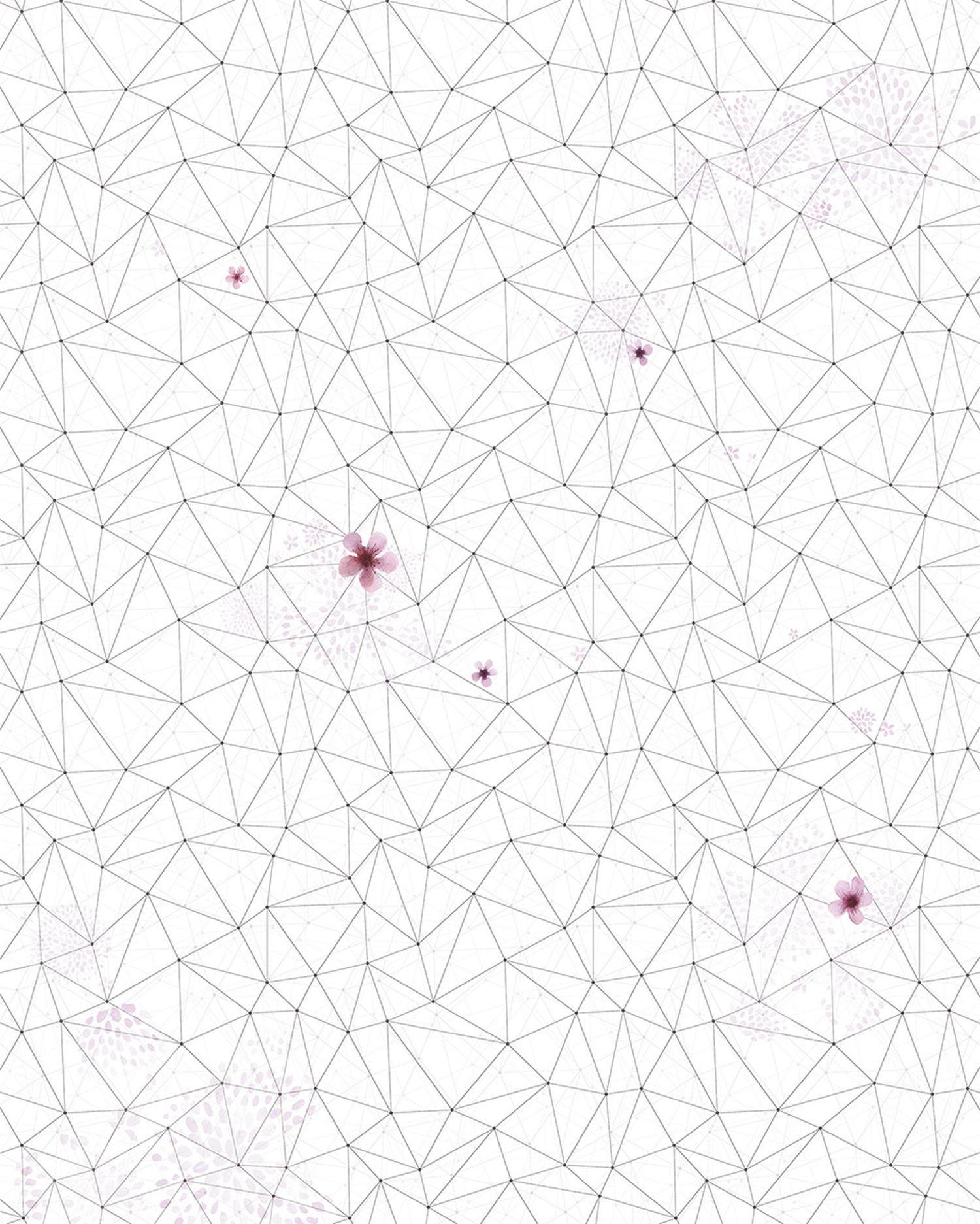 FOTOTAPETE Kirschblüten 200 x 250 cm - Schwarz, Papier (200/250cm) - Sanders & Sanders