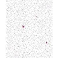 FOTOTAPETE Kirschblüten 200 x 250 cm - Schwarz, Papier (200/250cm) - Sanders & Sanders