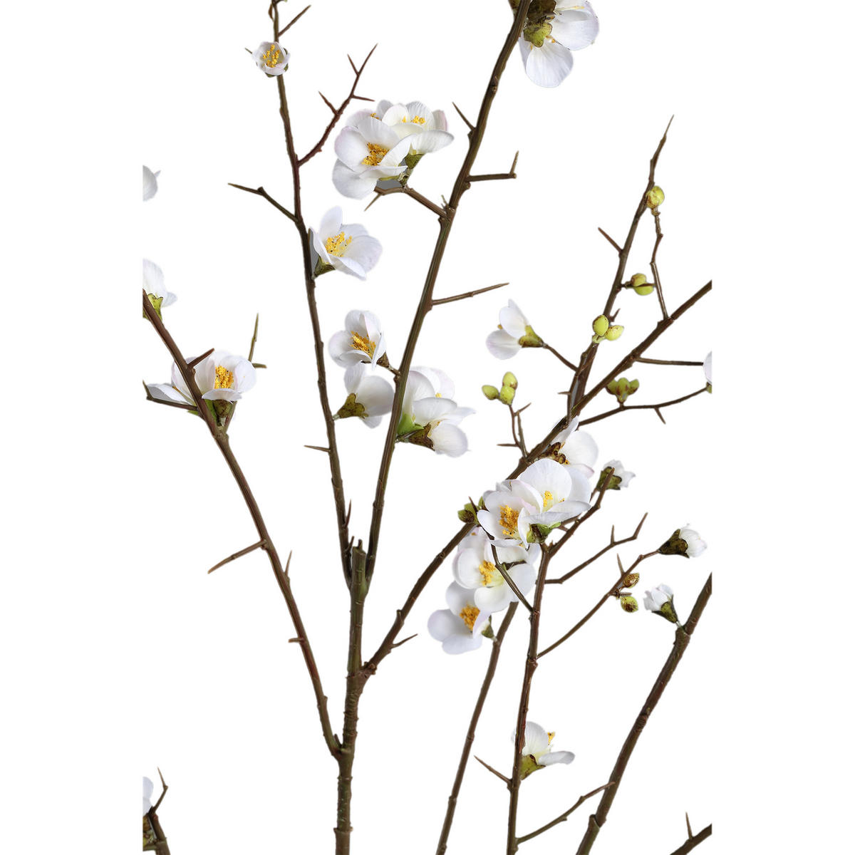 KUNSTBLUME Blossom Weiß 81.5/79/137cm - Weiß, Textil (137cm) - PTMD Collection