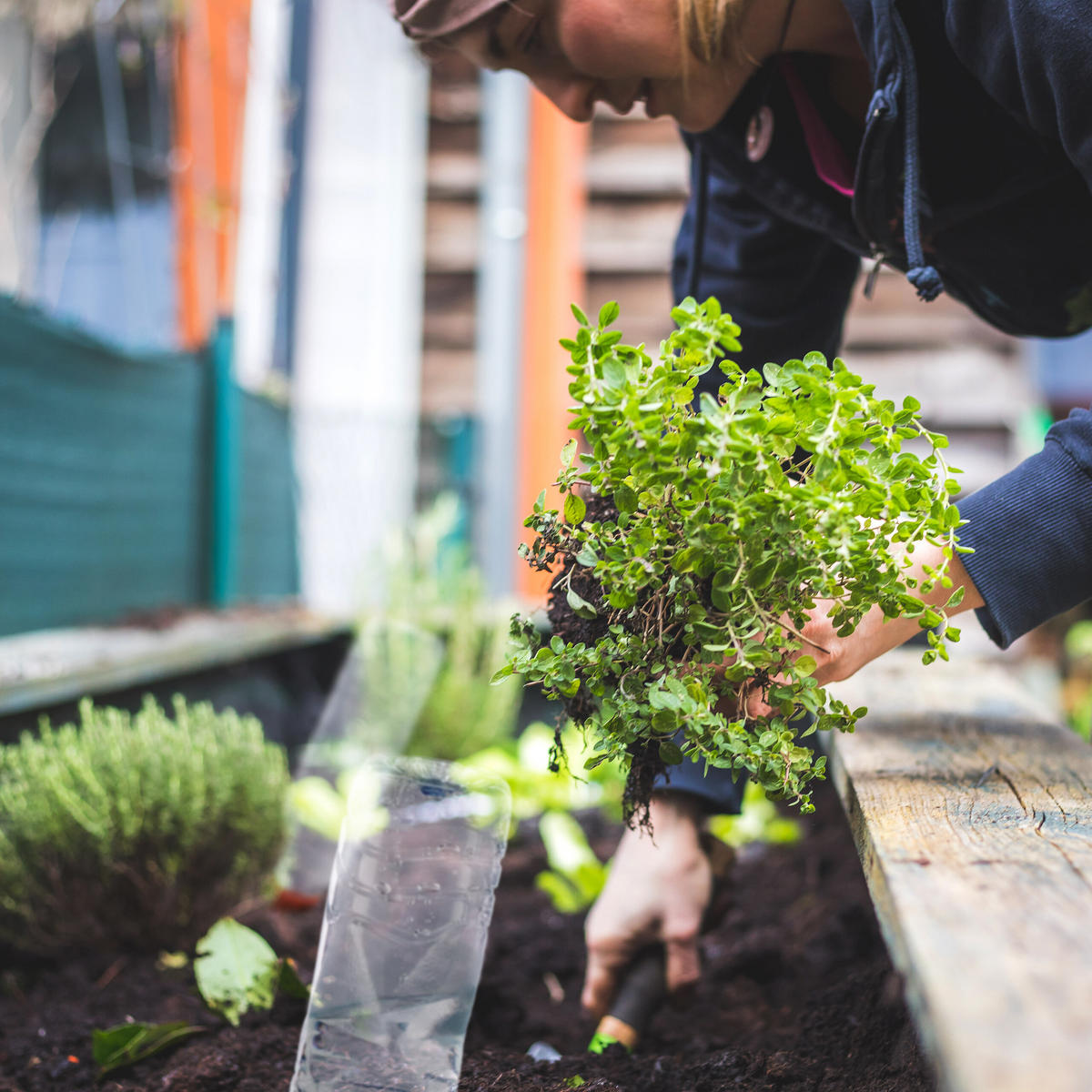 6XTONKEGEL - Braun, Keramik (5.5/17/5cm) - Relaxdays