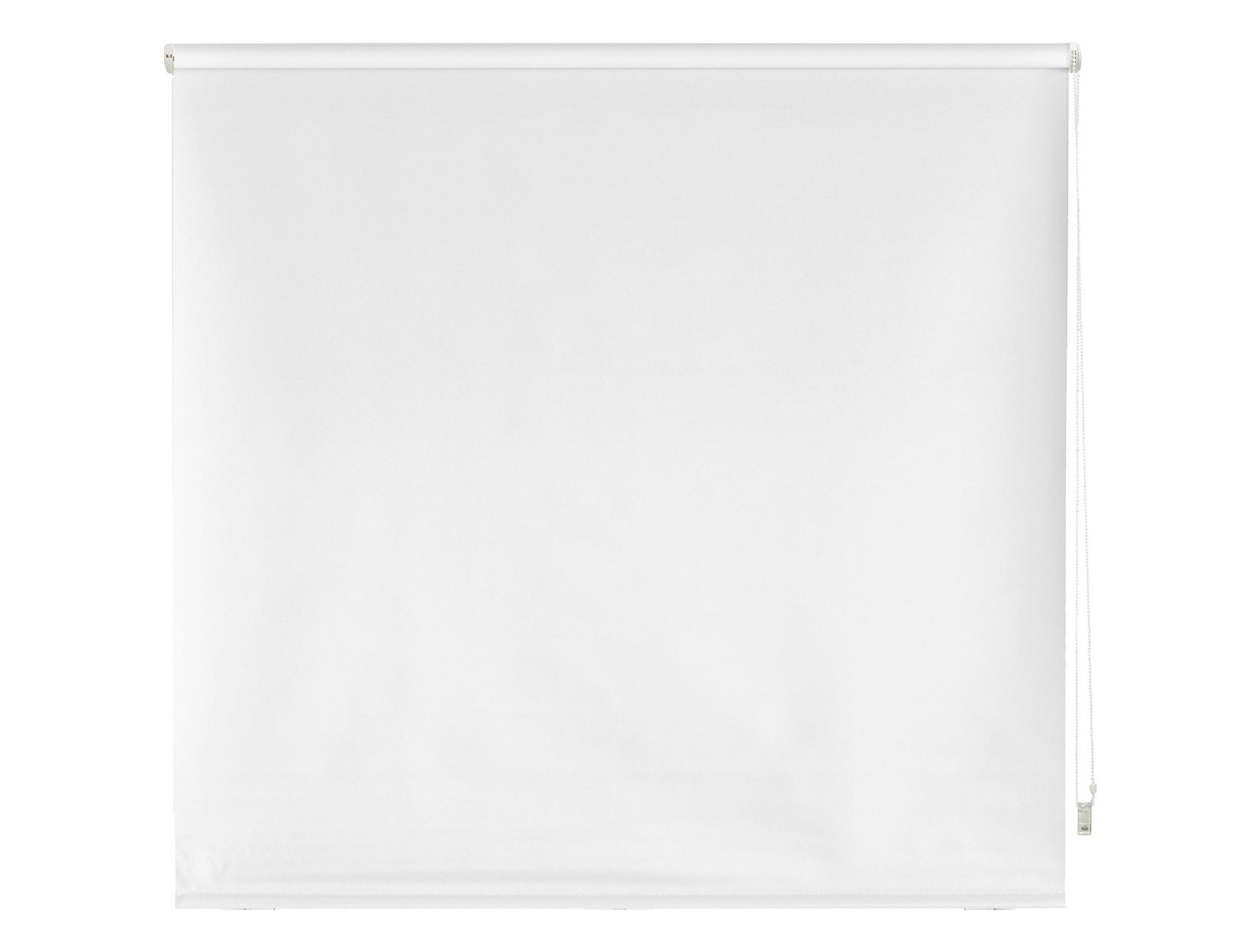 ROLLO Polyester Transluzent Weiß 140x250 - Weiß, Textil (140/250/1cm) - Purline