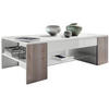 COUCHTISCH Clip Blenden in Eiche Nordic - Silbereichenfarben, Holzwerkstoff (60/118/37cm) - Vladon