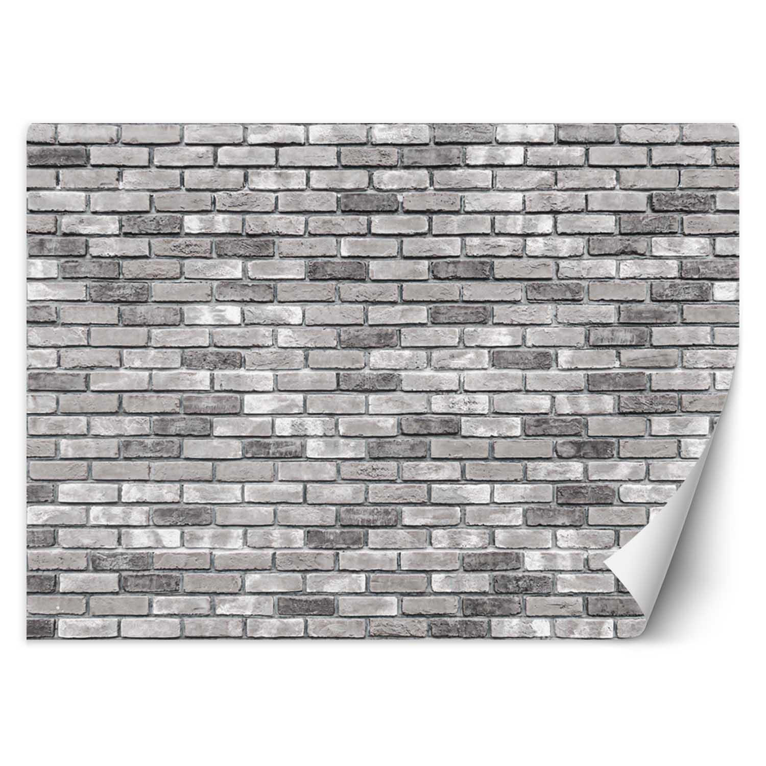 VLIESTAPETE Grau 100/70 cm - Grau, Textil (100/1cm) - KUNSTLOFT